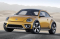 Volkswagen Beetle Dune